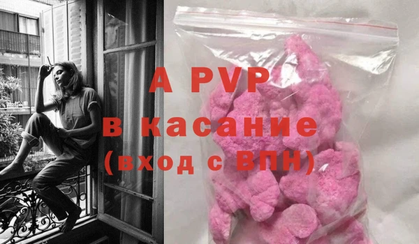 амф Бородино