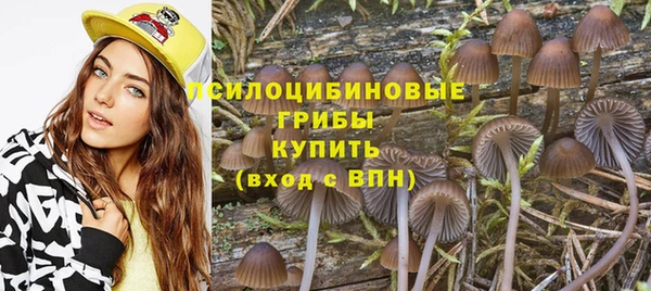 ALPHA PVP Армянск