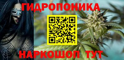 apvp Партизанск
