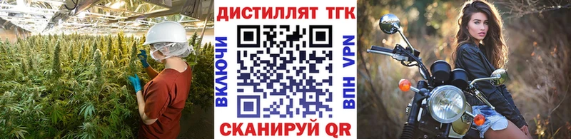 как найти   Сосновоборск  ТГК гашишное масло 