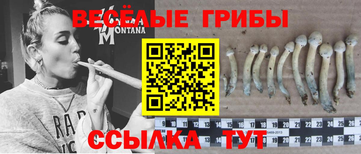 Псилоцибиновые грибы мухоморы Сосновоборск