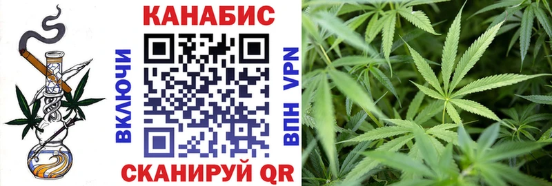 Марихуана сатива  как найти   Сосновоборск 